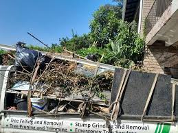 Best Property Management Cleanouts  in Velva, ND