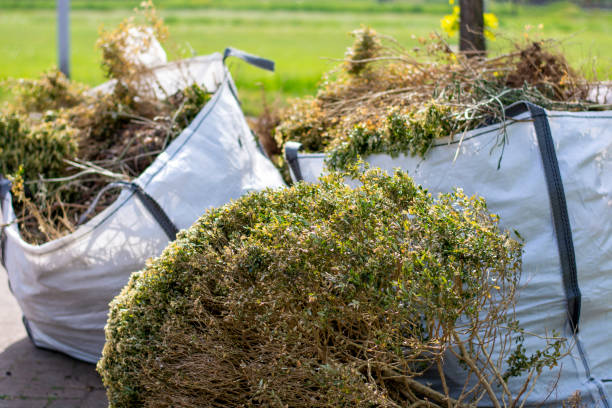 Best Office Cleanout  in Velva, ND