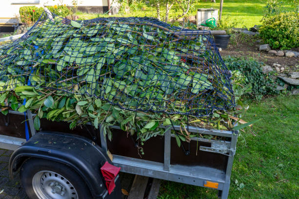 Best Moving and Downsizing Cleanouts  in Velva, ND